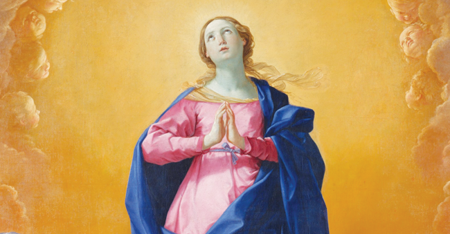 Solemnity of the Immaculate Conception