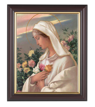 Mystical Rose In Walnut Frame 10.25X12.25" 8X10 Print
