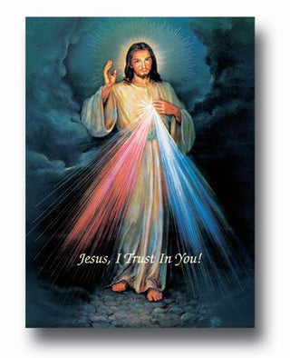 Divine Mercy Poster 19X27 Poster