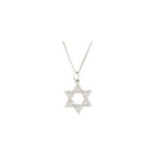 14K White 1/5 CTW Natural Diamond Star of David Necklace 