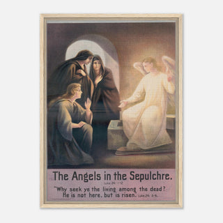 231fcd5c-c3cd-481c-9c40-3e488a7cf9c7