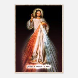 Divine Mercy Framed Print - view 24