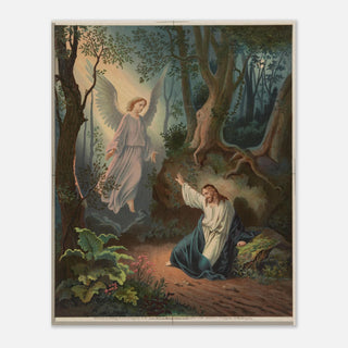 348ecb09-d2f9-4012-bc78-92260f47c711