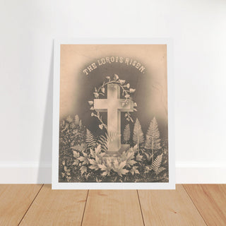3866907d-50b8-48c7-b3d3-2fde1fd7ccf2