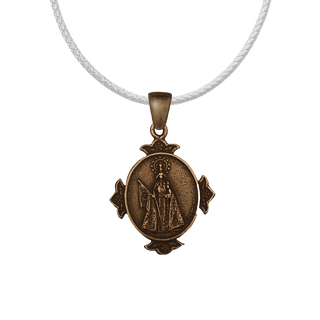 Vintage Bronze Our Lady of the Rosary of Parana Medal