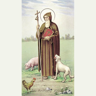 100-Pack - St Anthony Abbott Holy Card