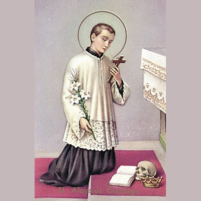 100-Pack - St Aloysius Gonzaga Holy Card