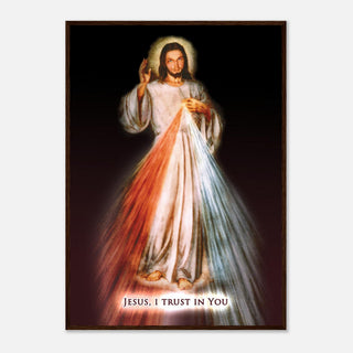 Divine Mercy Framed Print - view 3