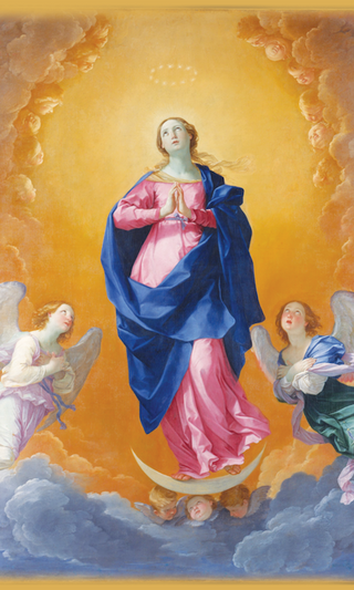 Hail Holy Queen Prayer Cards - 25-Pack