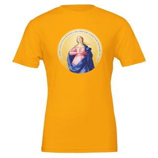 'O Mary, Conceived Without Sin' T-Shirt - view 5