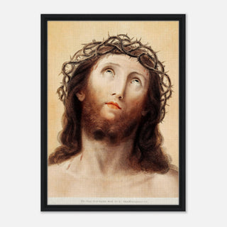 6d2a8610-e594-4a8b-a1f6-c86904eda031