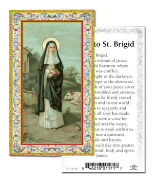 100-Pack - Prayer To St Brigid Holy Card