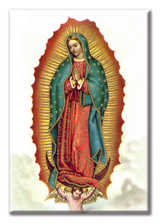 Our Lady Of Guadalupe Magnet 2"X3" Postcard Magnet 10-Pack