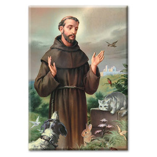 St Francis Magnet 2"X3" Postcard Magnets 10-Pack