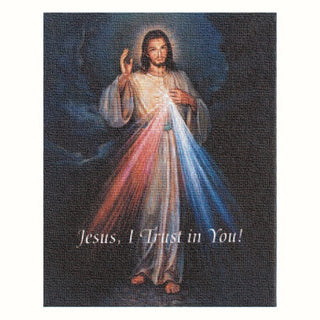 Divine Mercy 8X10 Canvas