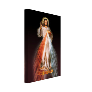 Divine Mercy Canvas Print - view 4