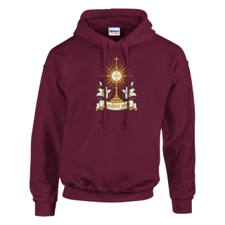 I Adore You Monstrance Hoodie - view 6