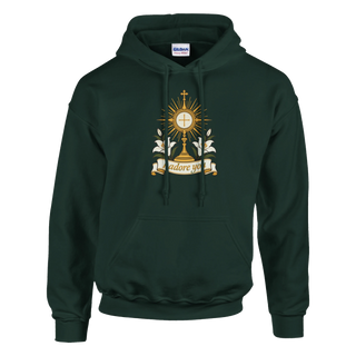 I Adore You Monstrance Hoodie - view 5