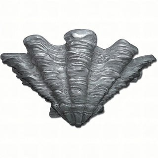 Shell Sconce Wall Sconce — Aged Silver finish
