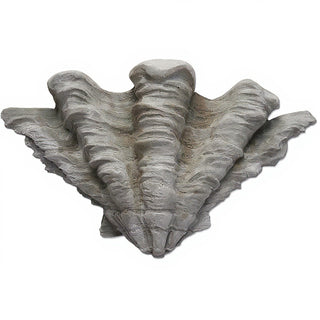 Shell Sconce Wall Sconce — Antique Stone finish