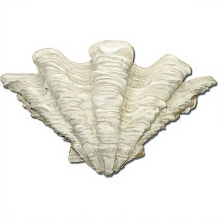 Shell Sconce Wall Sconce — Antique White finish