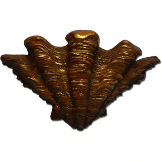 Shell Sconce Wall Sconce — Bronze finish