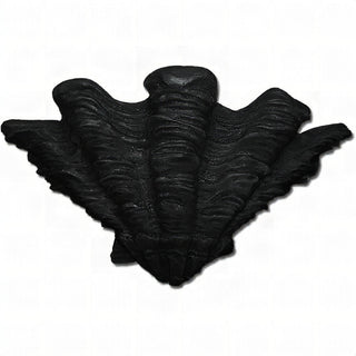 Shell Sconce Wall Sconce — Dusted Black finish