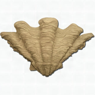 Shell Sconce Wall Sconce — Dusted Sand finish