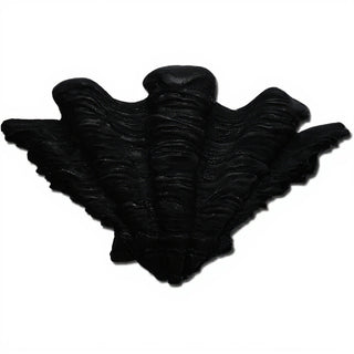 Shell Sconce Wall Sconce — Flat Black finish