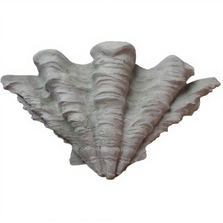 Shell Sconce Wall Sconce — Limestone finish