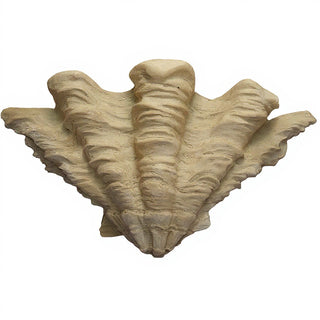 Shell Sconce Wall Sconce — Museum Terracotta finish