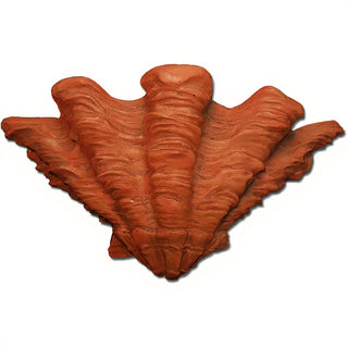 Shell Sconce Wall Sconce — Metro finish