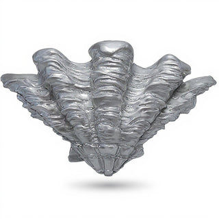 Shell Sconce Wall Sconce — Silver finish
