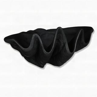Clam Shell Planter — Iron finish