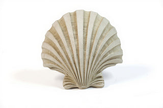 Napoli Shell Sconce - 12-inch — Antique White finish