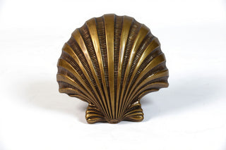 Napoli Shell Sconce - 12-inch — Bronze finish