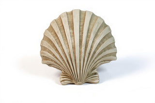 Napoli Shell Sconce - 12-inch — Dusted Sand finish