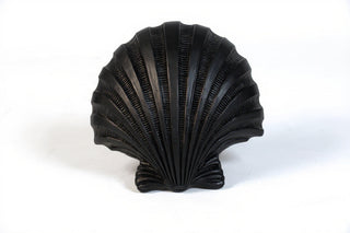 Napoli Shell Sconce - 12-inch — Flat Black finish