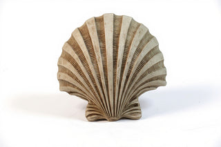 Napoli Shell Sconce - 12-inch — Gothic Stone finish