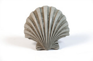 Napoli Shell Sconce - 12-inch — Limestone finish