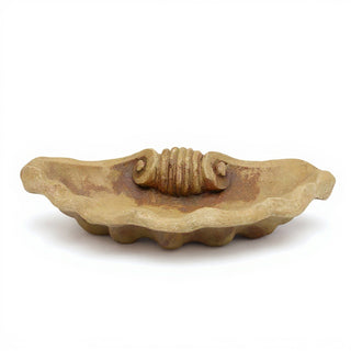 Mio Shell — Gothic Stone finish