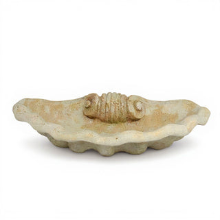 Mio Shell — Museum Terracotta finish