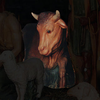 COW FOR LIFESIZE SET 71-inch Statue - 71-inch - Realistic Color - Hand-Painted