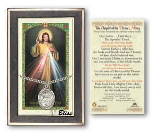 Silver Filled Scapular Medal on an 24 inch Heavy Curb Chain with a The Chaplet of the Divine Mercy Prayer Card.