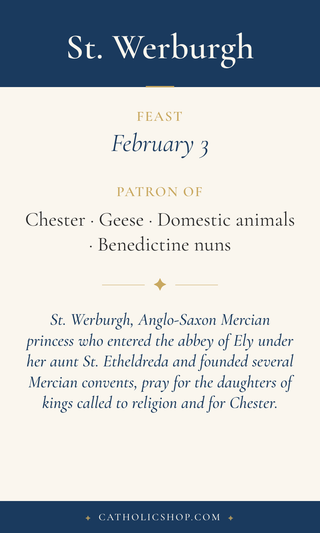 Saint Werburgh holy card  with feast day, patronage, and prayer