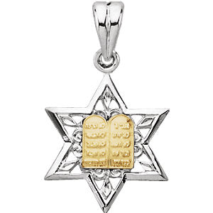 Sterling Silver & 14K Gold 19.92x14.9 MM Star of David Pendant