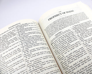 Douay-Rheims Catholic Bible