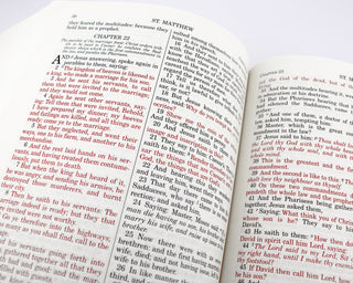 Douay-Rheims Catholic Bible