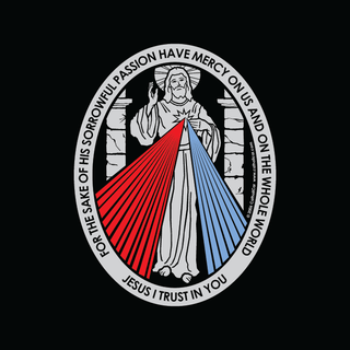 Divine Mercy Vinyl Transparent Decal