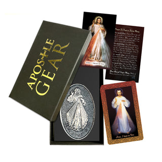 Divine Mercy Visor Clip for Car
